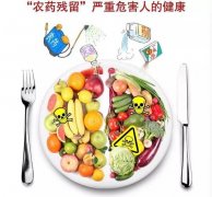 食品安全檢測(cè)儀保障食品安全化